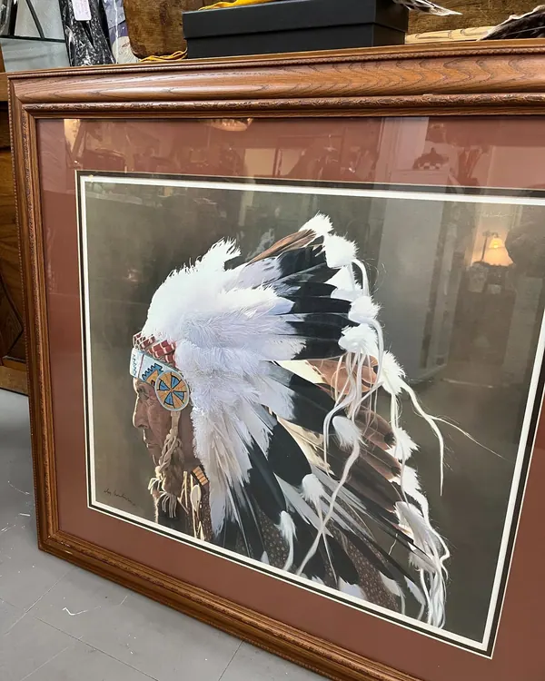Framed feather headdress artwork